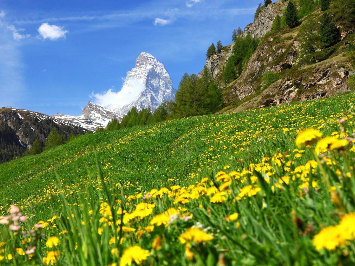 Papillon By Interhome * Zermatt