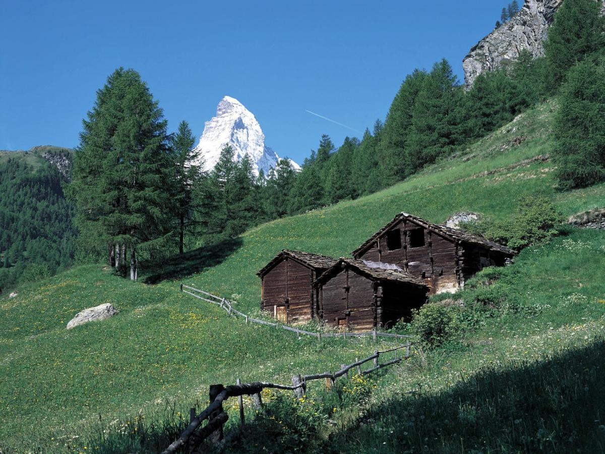 Papillon By Interhome Zermatt